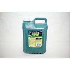 Detergente Automotivo 5LTS